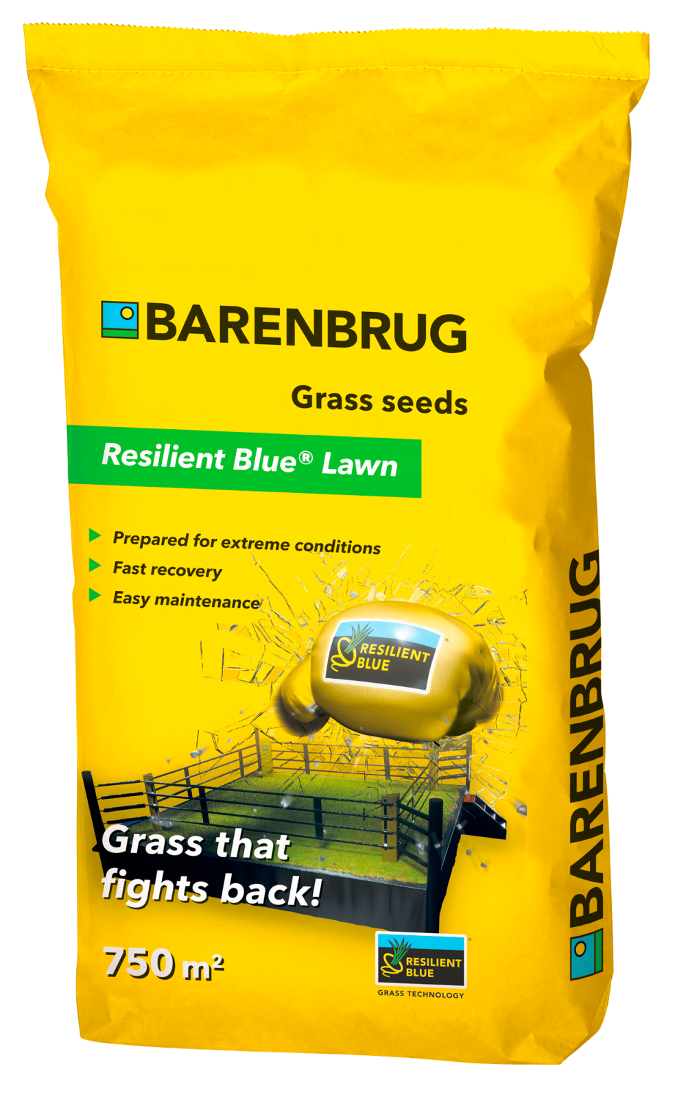 Barenbrug Resilient Blue Lawn