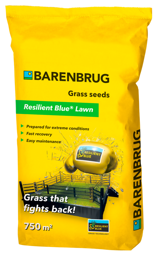 Barenbrug Resilient Blue Lawn